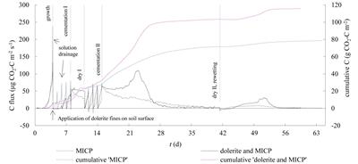 Dolerite Fines Used as a Calcium Source for Microbially Induced Calcite Precipitation Reduce the Environmental Carbon Cost in Sandy Soil